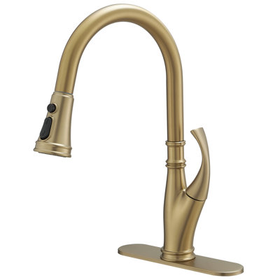 Lexora Furio Brass Single-Handle Pull-Down Spray Kitchen Faucet